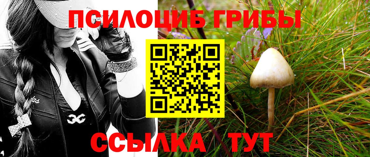 Псилоцибиновые грибы мицелий Аргун